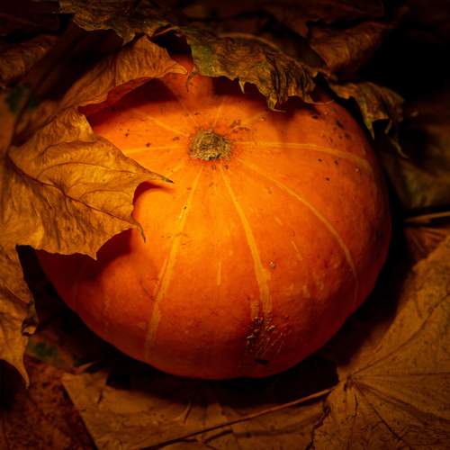 Photo #12716868