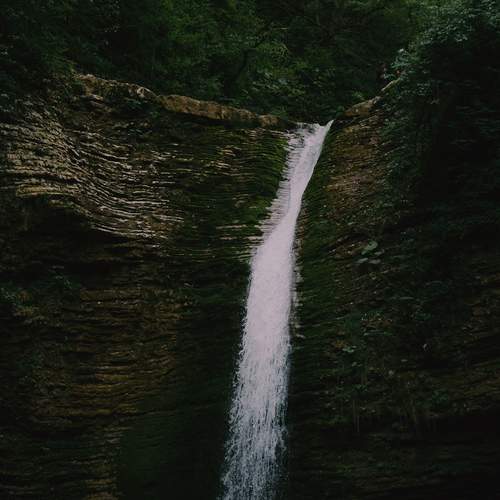 Photo #12717333