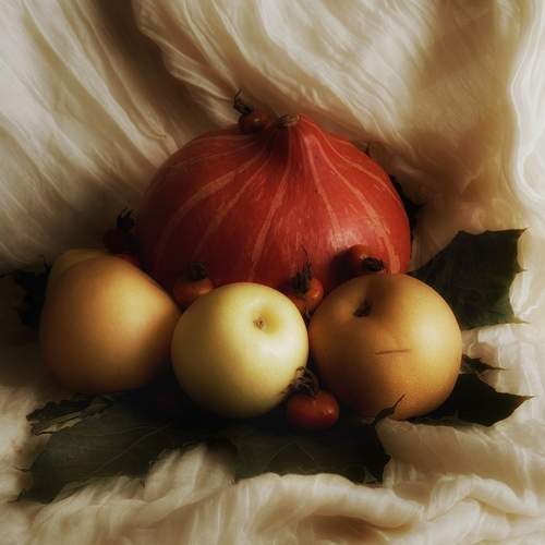 Photo #12717438
