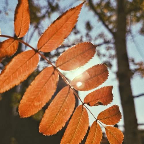 Photo #12717448