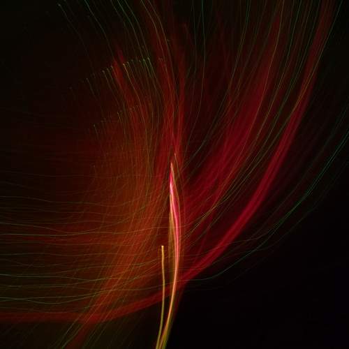 Photo #12717799