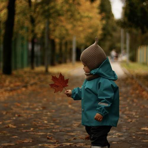 Photo #12717916