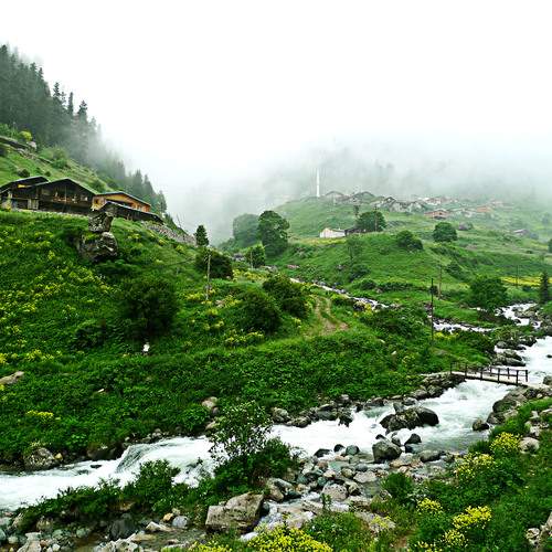 doğadan