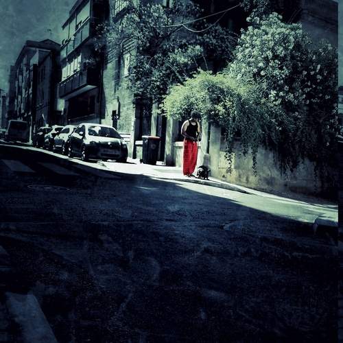 Photo #12718987