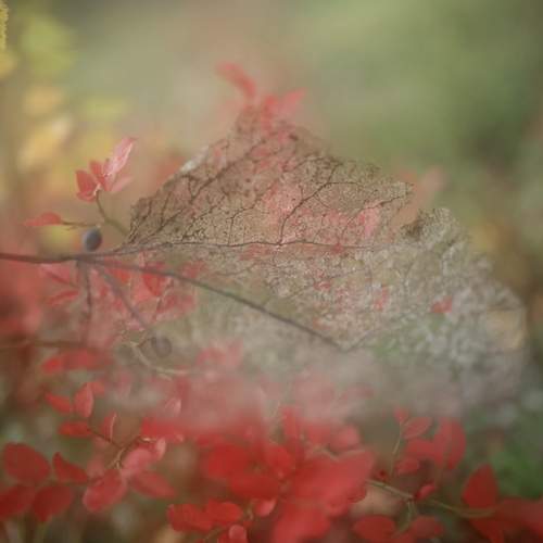 Photo #12718999