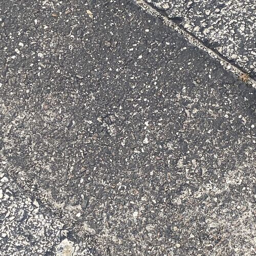 Photo #12719105