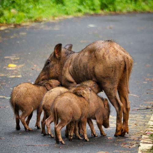 Photo #12719235
