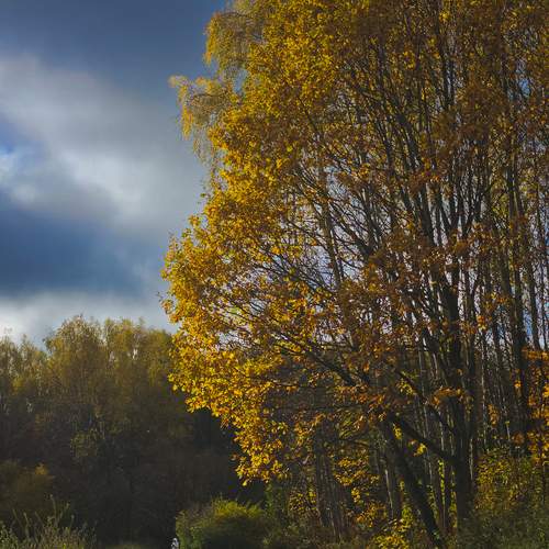 Photo #12719259