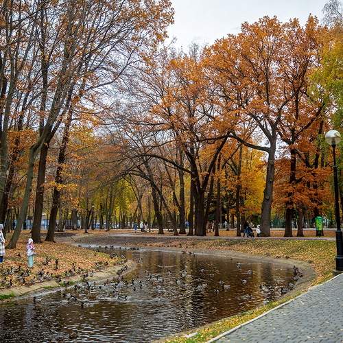 Photo #12719308