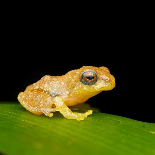 Photo #12719366