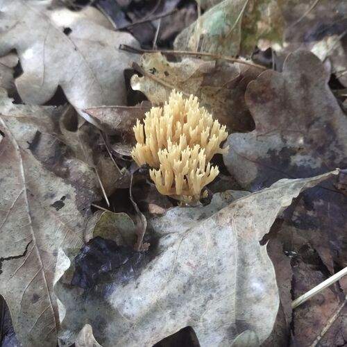 Photo #12719386