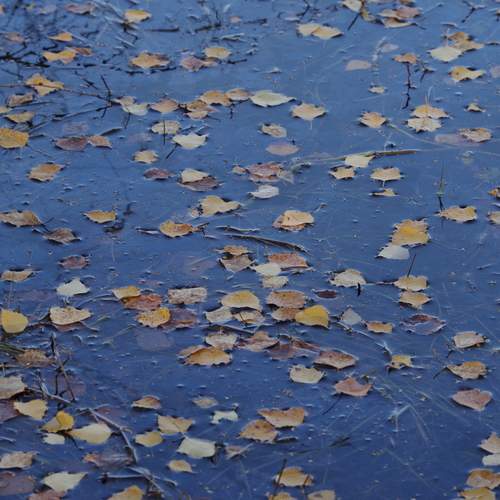 Photo #12719524