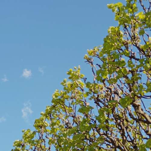 Photo #12719596