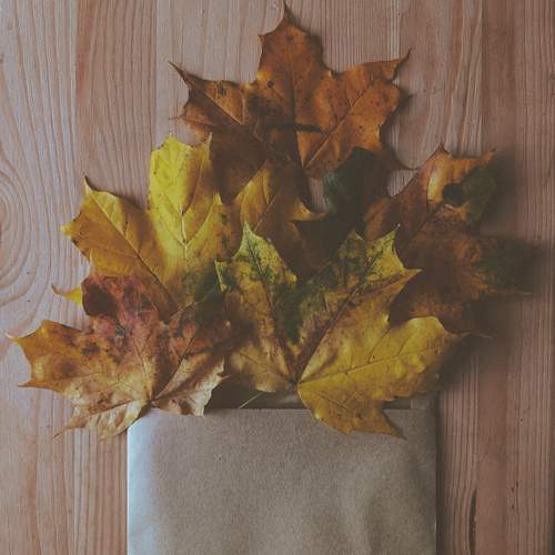 Photo #12719661