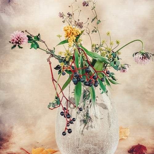 Photo #12719721