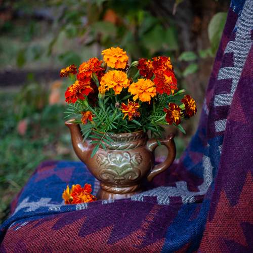 Photo #12719789