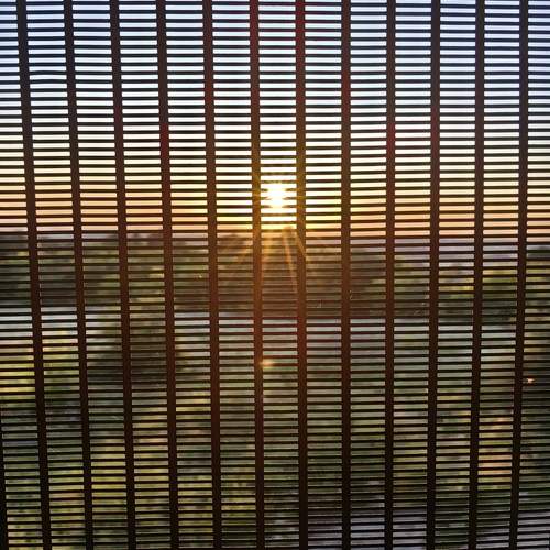 Photo #12720003