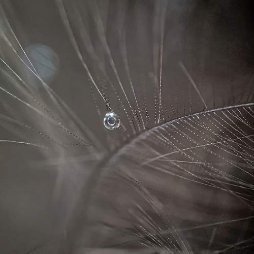 Photo #12720029