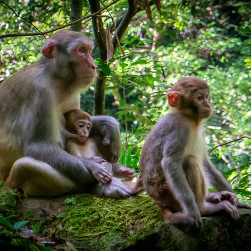 Photo #12720101