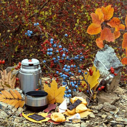 Photo #12720496