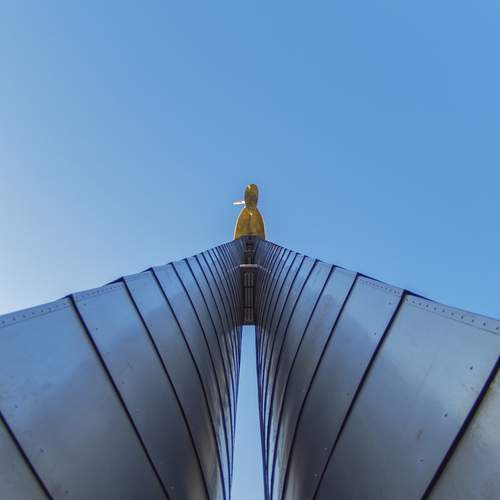 Photo #12720628