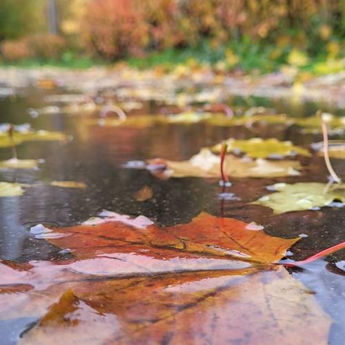 Под дождем