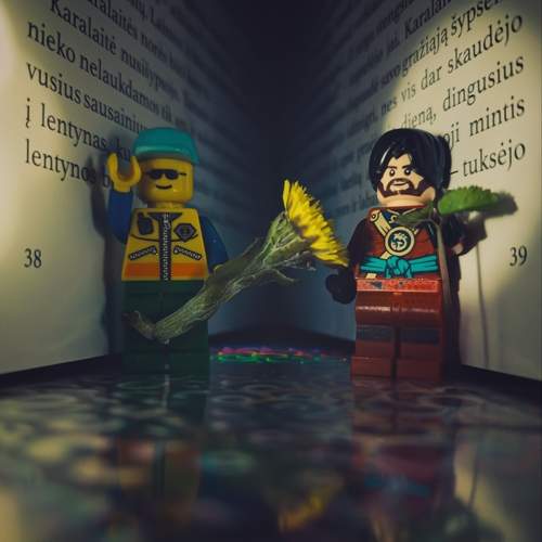 Photo #12720770