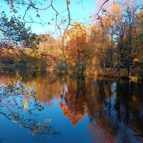 Photo #12720834