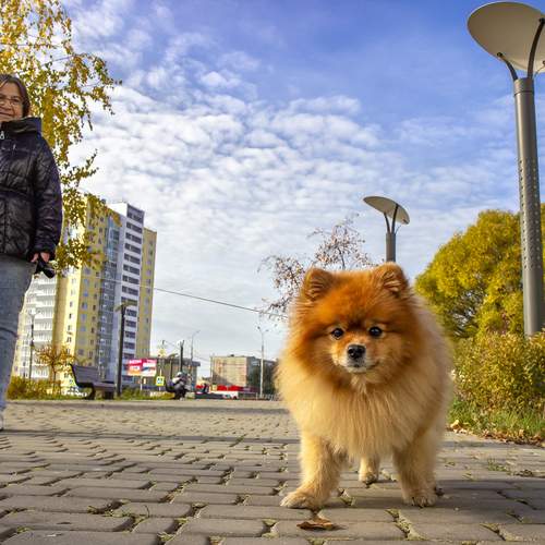 Photo #12720863