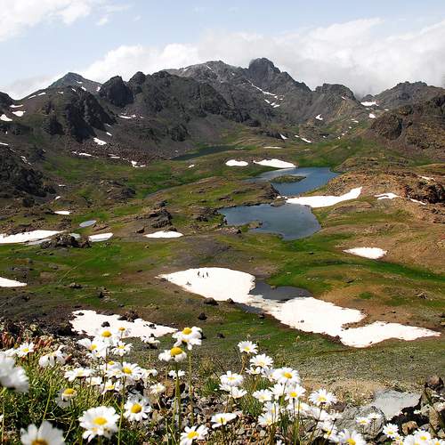 Photo #12721052