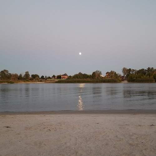 Photo #12721179