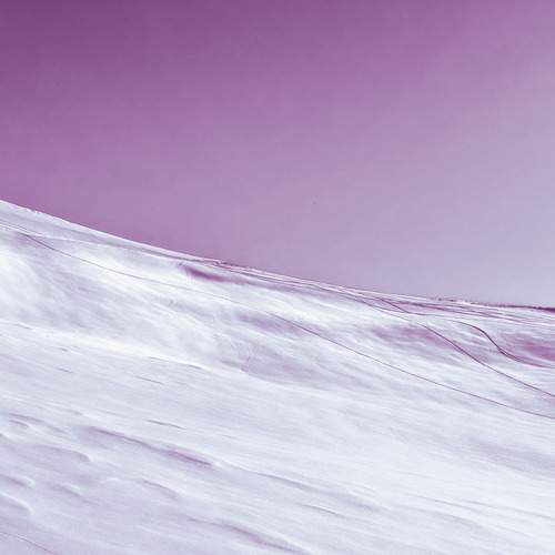 Photo #12721198