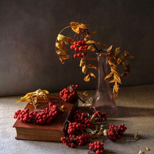 Фотография #12721477