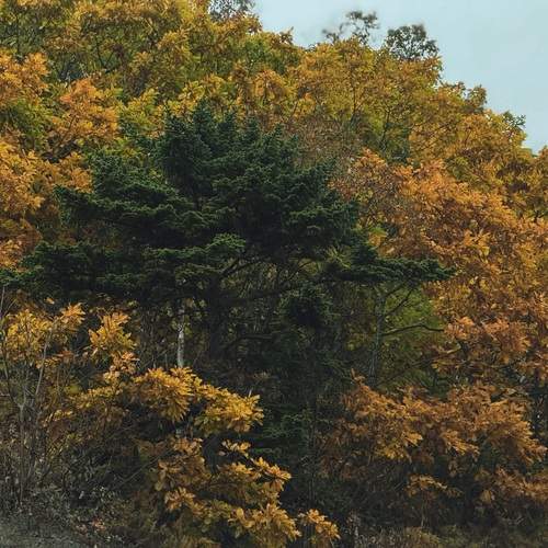 Photo #12721574