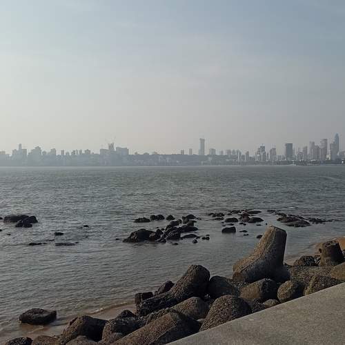 Photo #12721595