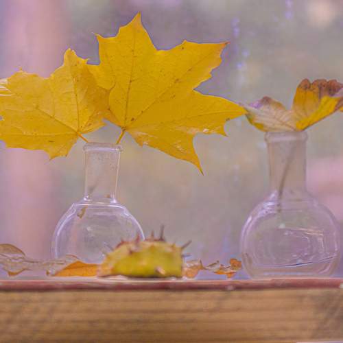 Photo #12721683