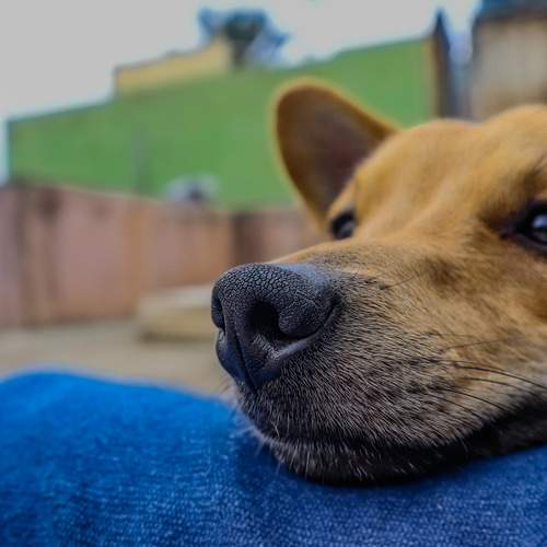 Photo #12721888