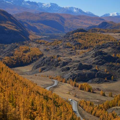 Photo #12721906