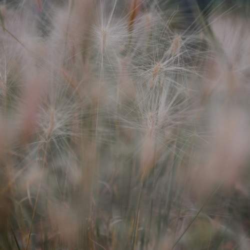 Photo #12721984