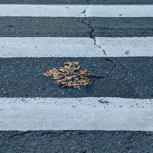 Photo #12722199