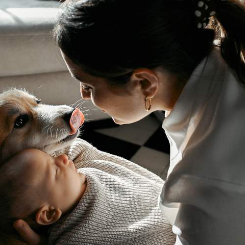 Photo #12722363