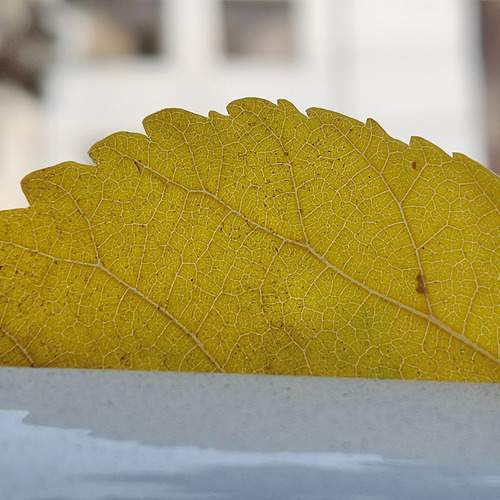 Photo #12722769