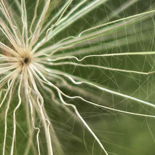 Photo #12722996