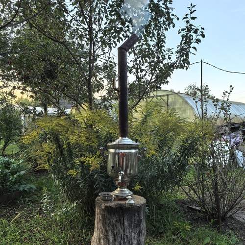 Photo #12723418