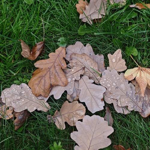 Photo #12723545