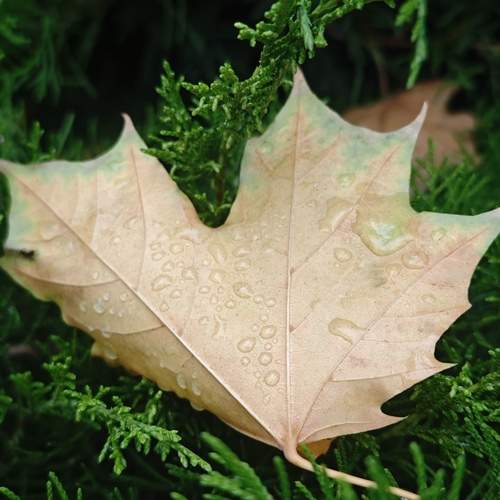 Photo #12723554