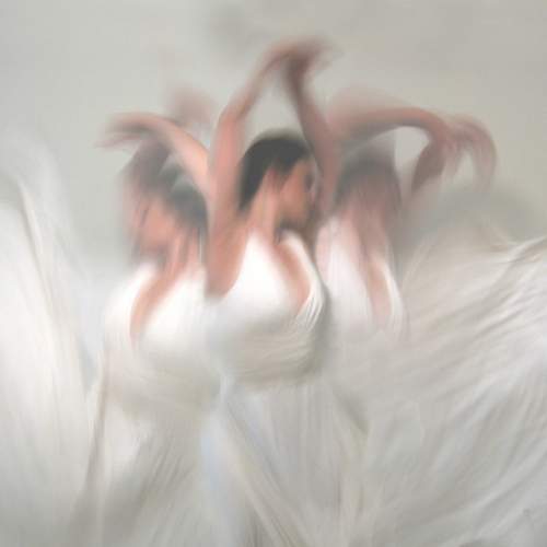 Photo #12723761