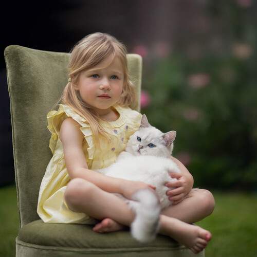 Photo #12723886