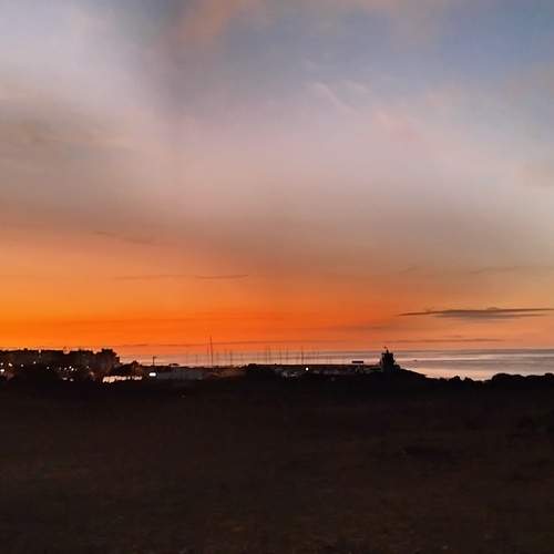 Photo #12723928