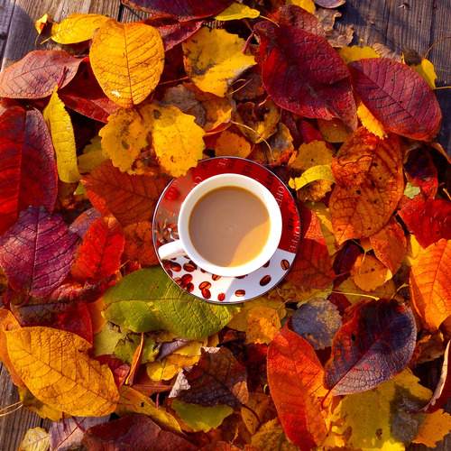 Photo #12723954